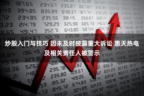 炒股入门与技巧 因未及时披露重大诉讼 惠天热电及相关责任人被警示
